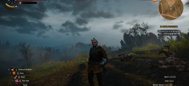 Witcher 3